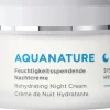 ANNEMARIE BÖRLIND Hautpflege|Nachtcremes^- AQUANATURE Feuchtigkeitsspendende Nachtcreme 50ml