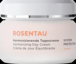ANNEMARIE BÖRLIND Tagescremes|Gesichtspflege^- ROSENTAU Tagescreme 50ml