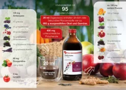 Dr. Wolz Zell GmbH Immunsystem^Dr. Wolz - Vitalkomplex 3x500ml