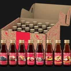 RABENHORST Fruchtsäfte^Probierpaket 24 Minis, 24x 125ml