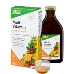 SALUS Vitamine Und Mineralien^- Multi-Vitamin-Energetikum 500ml