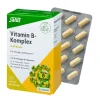 SALUS Vitamine Und Mineralien^- Vitamin-B-Komplex Kapseln vegan 60Stk