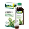 SCHOENENBERGER Frischpflanzensäfte|Pflanzen Und Kräuter^- Brennnesselsaft bio 200ml
